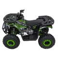 Quad Spalinowy 120CC DISCOVERER Zielony PSP.ATV009.8.ZIE